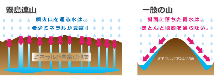 霧島連山一般の大と比較